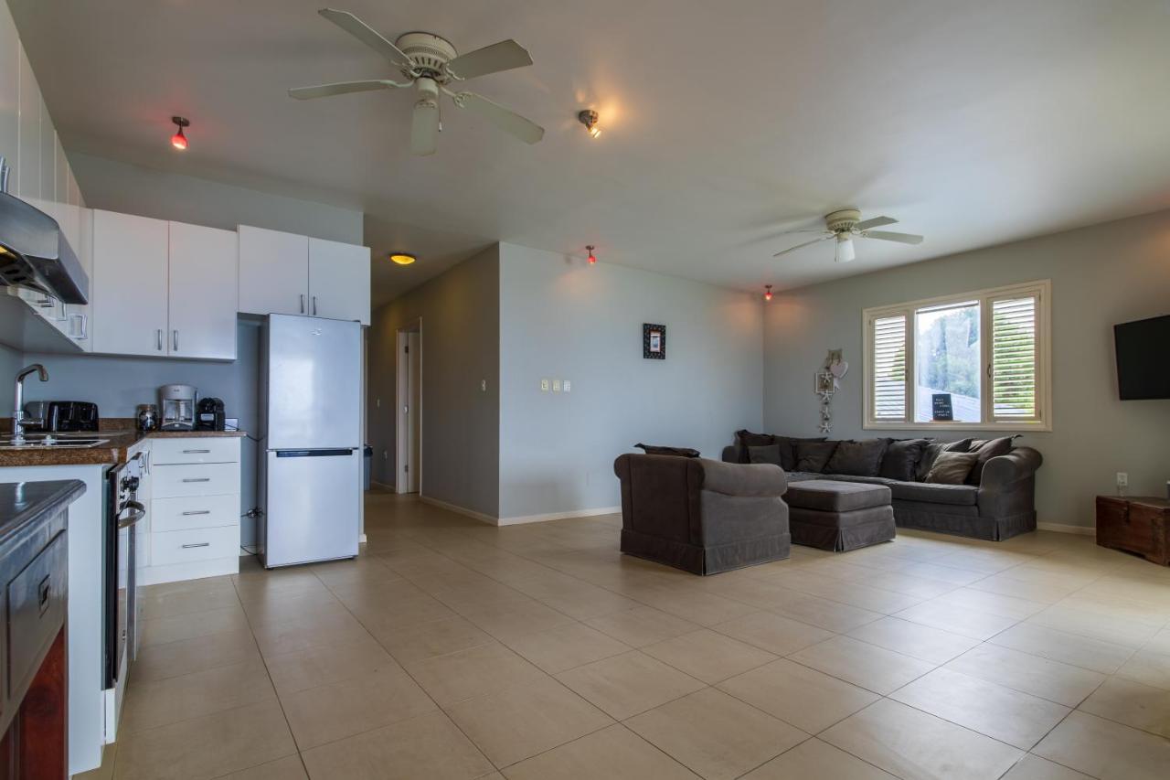 The Shore Residence 4 Bonaire Playa Zewnętrze zdjęcie